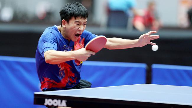 体现出皇家 体现出皇家