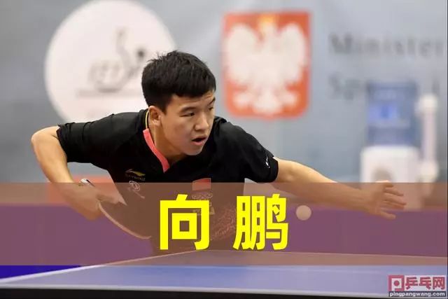 女足的真实 女足的真实