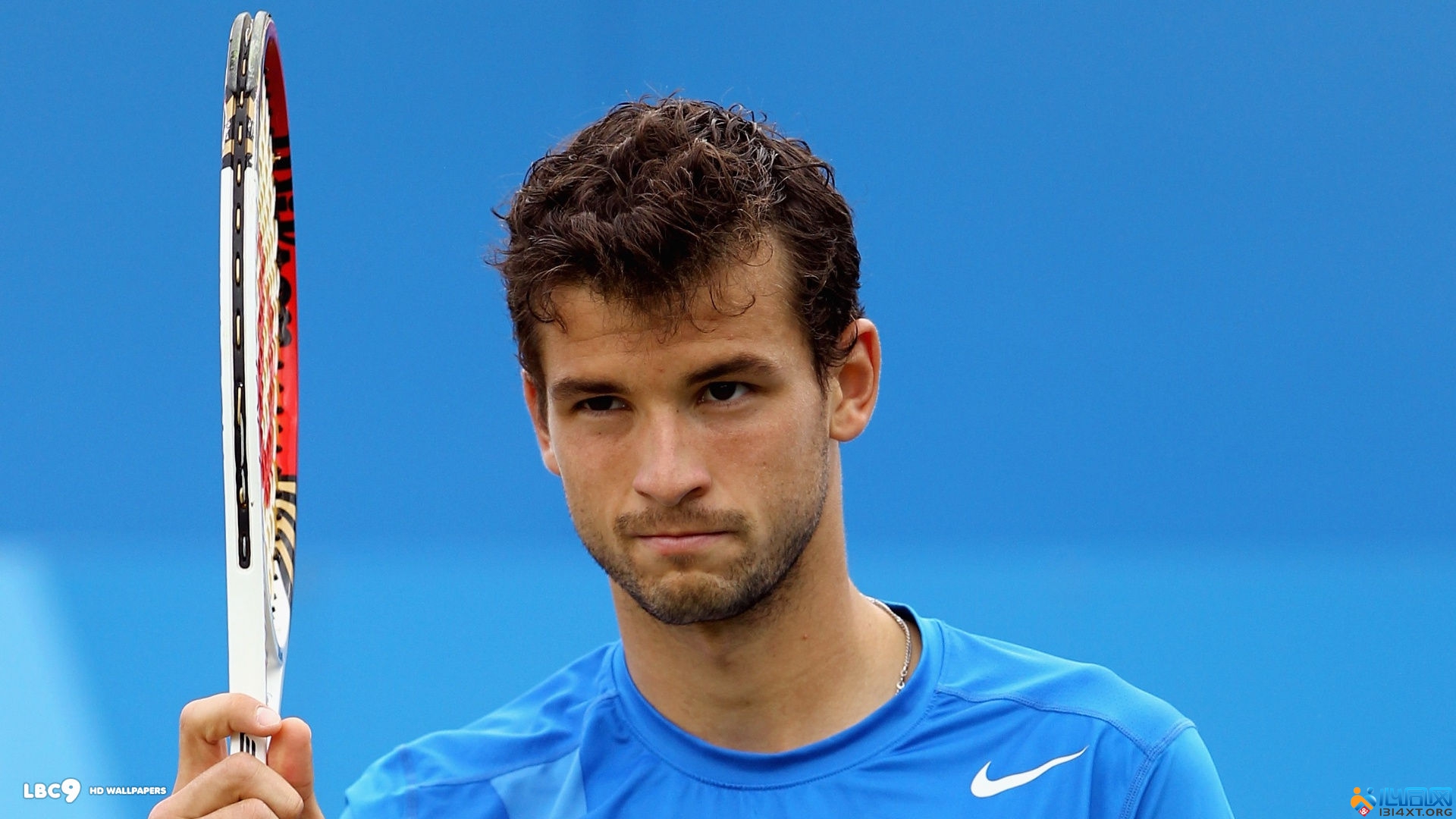 头部与前肢 头部与前肢